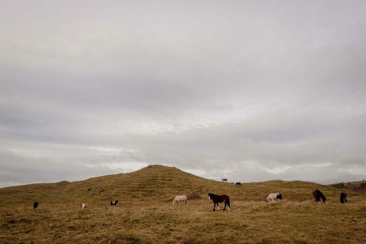 Апартаменты The Wild Atlantic Hideaway Клонакилти Экстерьер фото